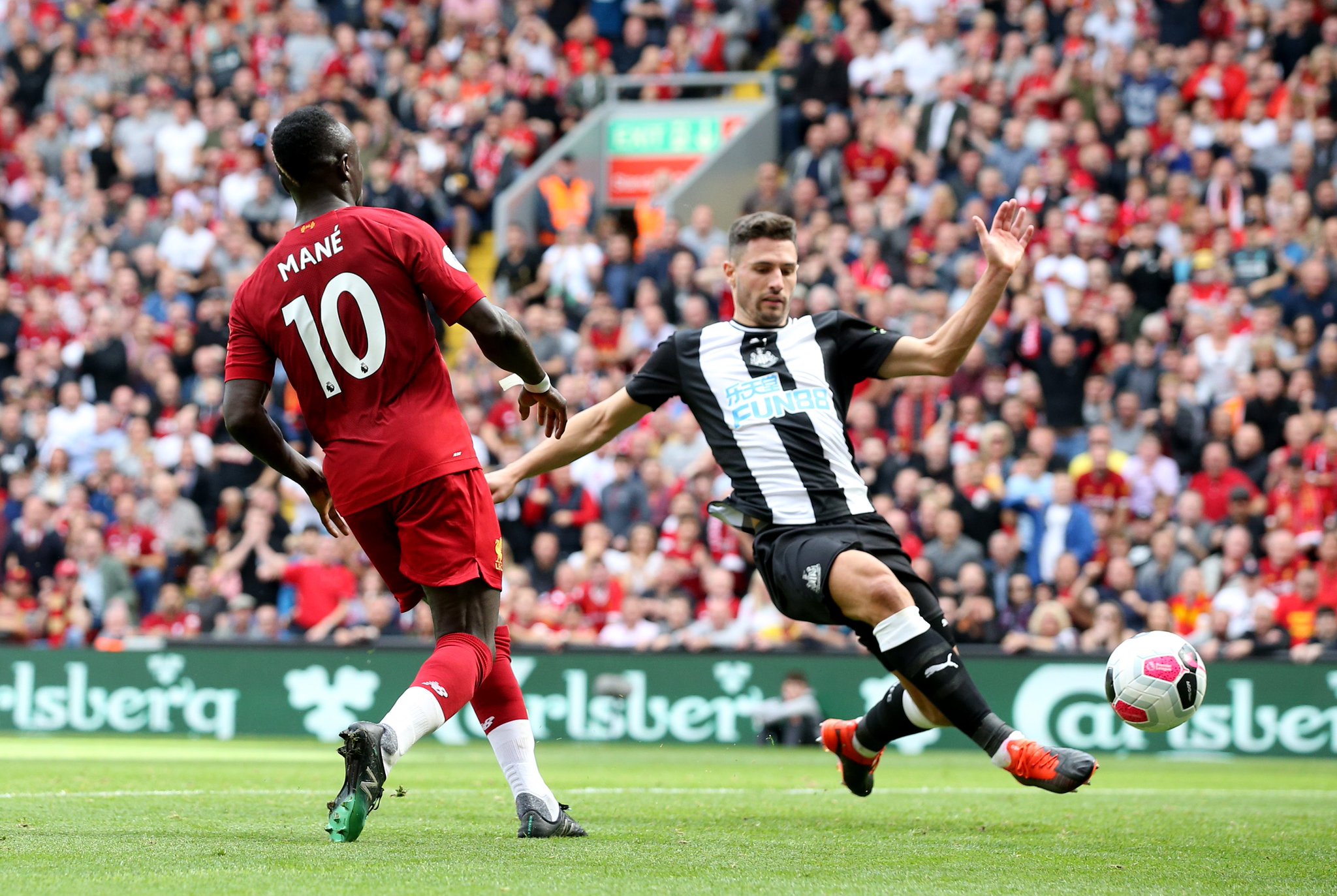 一个鲜活的 一个鲜活的